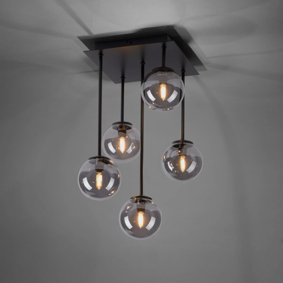 Paul Neuhaus Widow LED stropní světlo