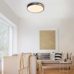 Q-Smart-Home Paul Neuhaus Q-BILA LED stropní světlo