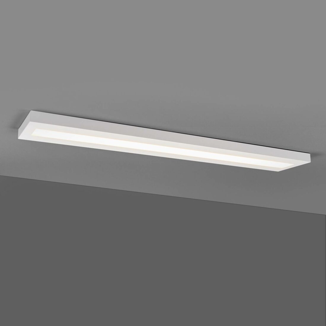 EGG Podlouhlé přisazené LED svítidlo 120 cm bílá