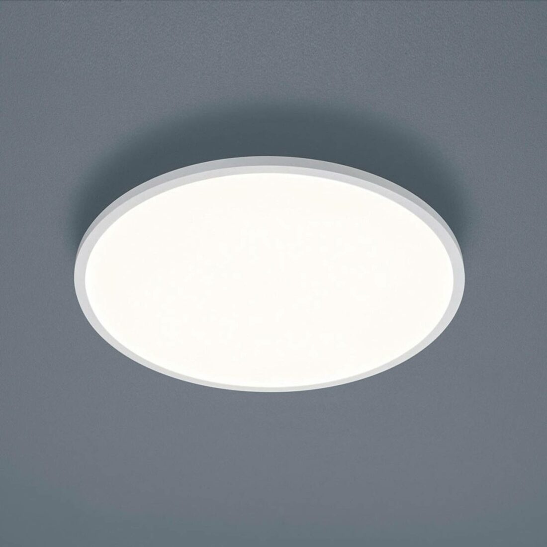 Helestra Rack LED stropní světlo kulaté bílá