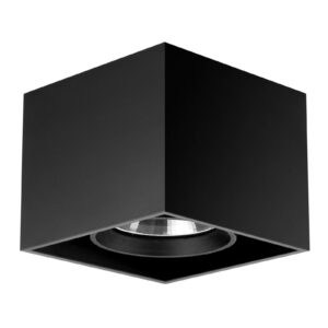 Flos Architectural FLOS Compass Box H135 - stropní světlo černé