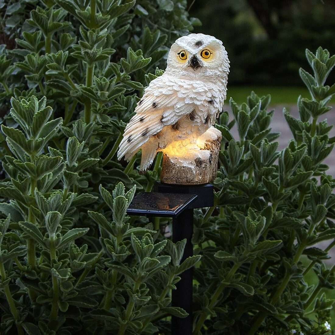 STAR TRADING LED solární světlo Owl se zapichovacím hrotem