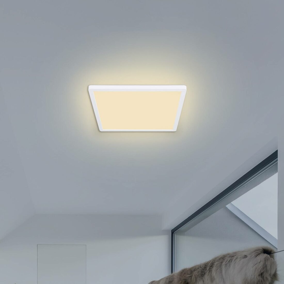 Globo LED stropní světlo Sapana
