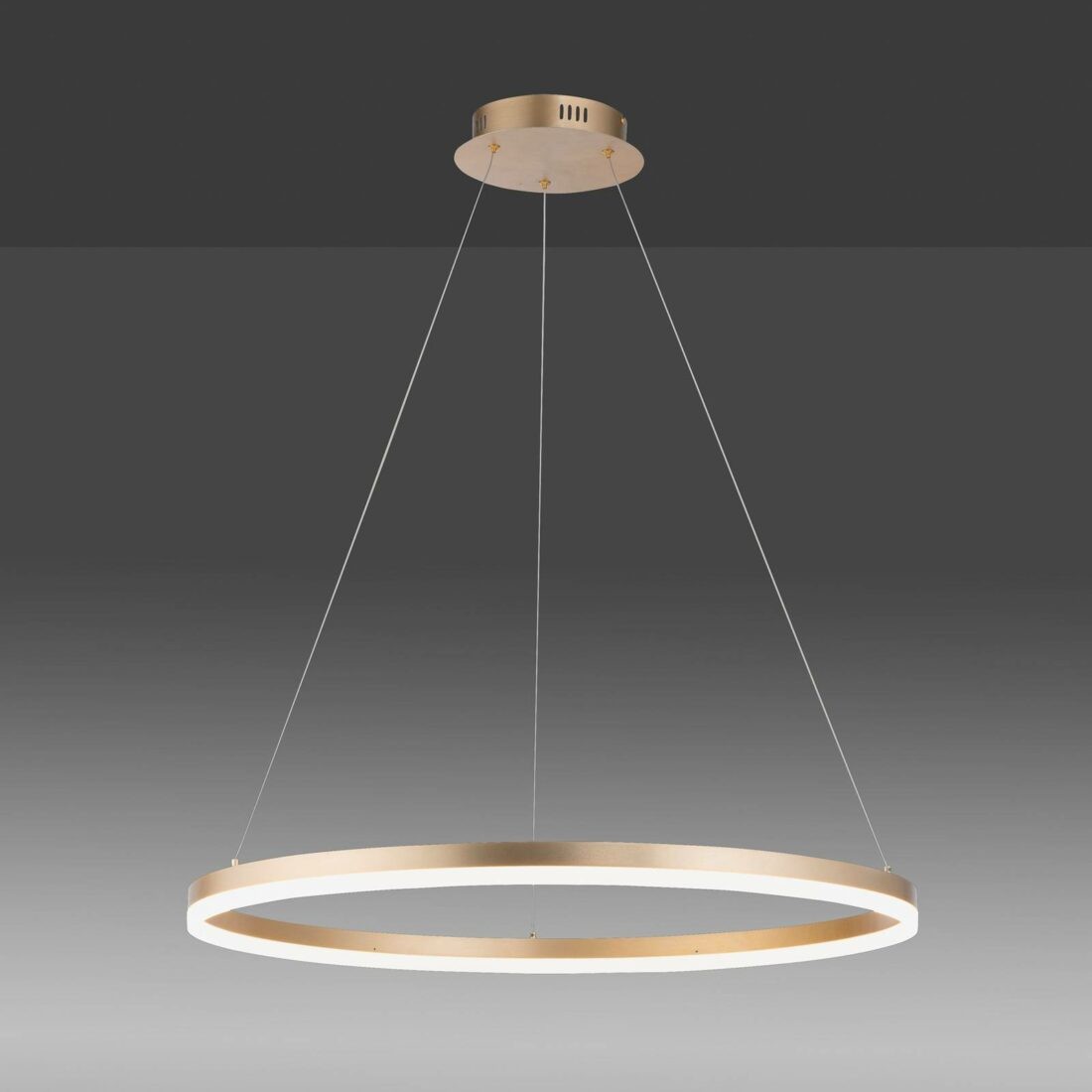 Paul Neuhaus LED závěsné světlo Titus kulaté Ø80cm