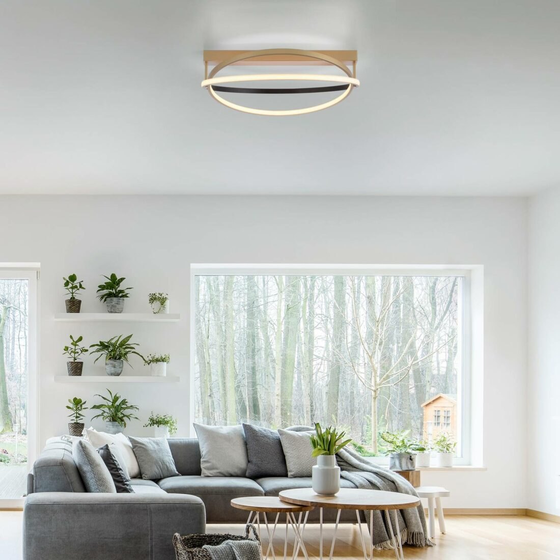 Q-Smart-Home Paul Neuhaus Q-Beluga LED stropní světlo
